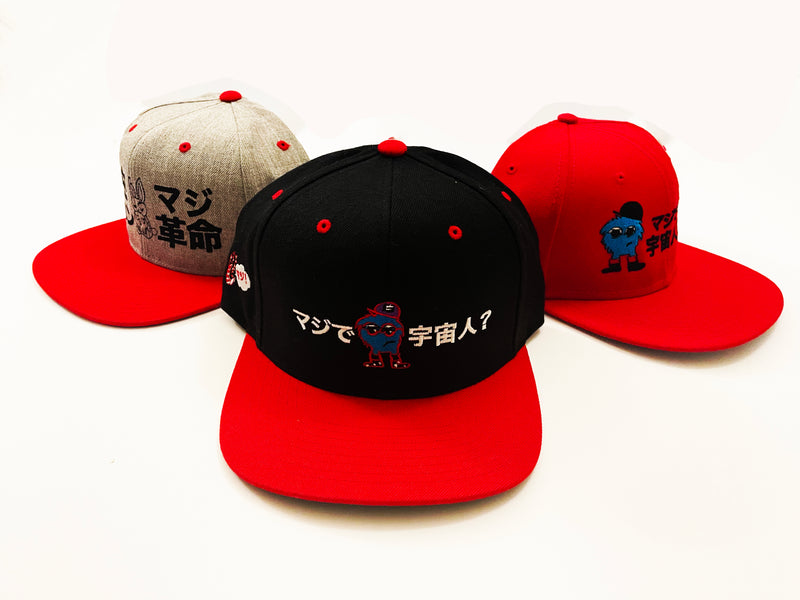 Usakyun ~ Bunny Skull ~ Snapback Cap (Grey)