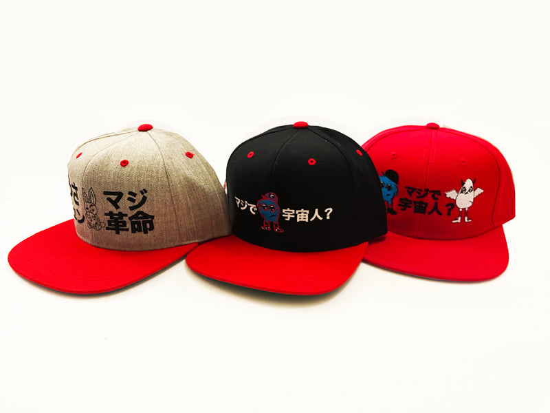 Usakyun ~ Bunny Skull ~ Snapback Cap (Grey)