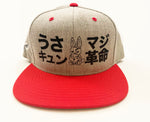 Usakyun ~ Bunny Skull ~ Snapback Cap (Grey)