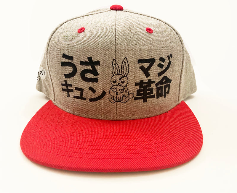 Usakyun ~ Bunny Skull ~ Snapback Cap (Grey)