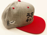Usakyun ~ Bunny Skull ~ Snapback Cap (Grey)